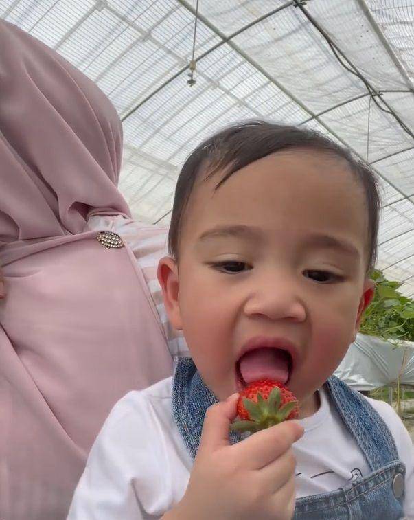 potret Rayyanza makan strawberi (instagram.com/riniperdiyanti)