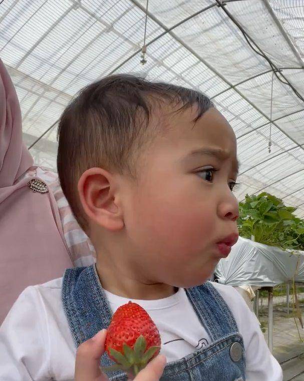 potret Rayyanza makan strawberi (instagram.com/riniperdiyanti)