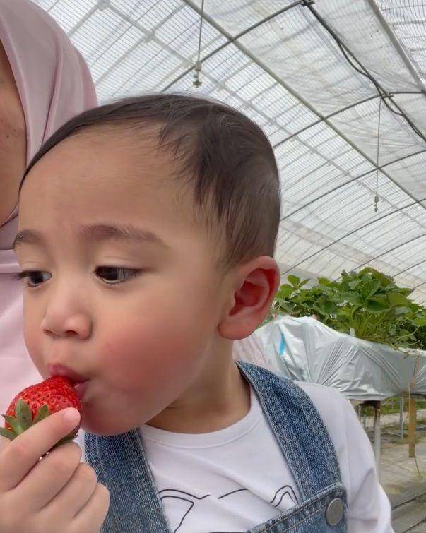 potret Rayyanza makan strawberi (instagram.com/riniperdiyanti)
