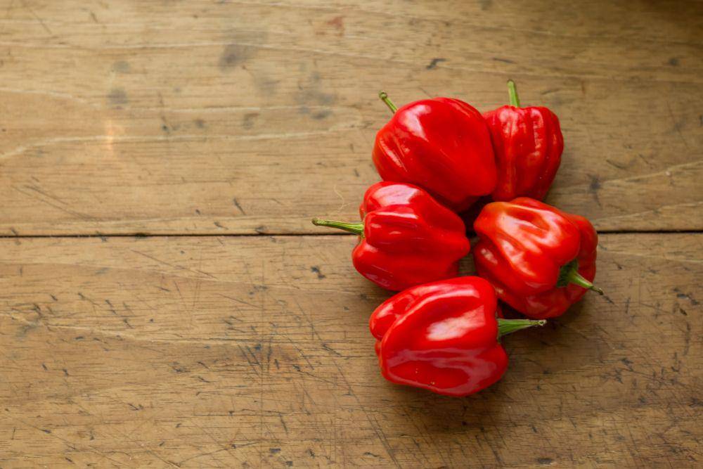 ilustrasi paprika (unsplash.com/@isaidzib)