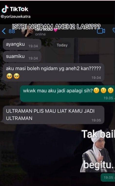 chat kocak ibu hamil (twitter.com/fbreceh)