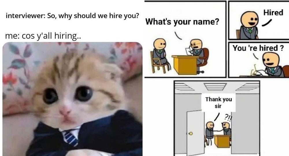 7 Meme Interview Kerja yang Gak Masuk Akal, Blak-blakan ke HRD