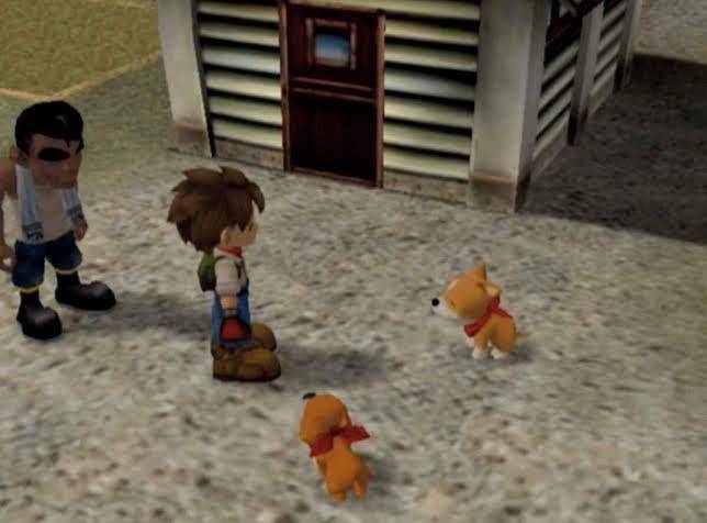 gameplay Harvest Moon: A Wonderful Life (dok. Marvelous/Harvest Moon: A Wonderful Life)