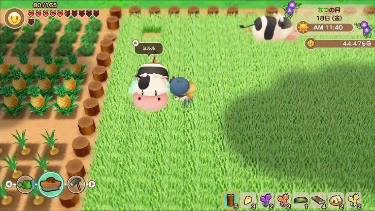 gameplay SoS: Friends of Mineral Town (dok. Marvelous/SoS: Friends of Mineral Town)