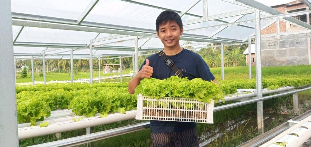 Intip Cara Berbisnis Pertanian Modern ala Generasi Milenial di Lombok