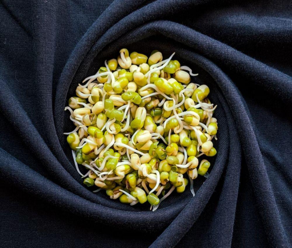 5 Tips Menyimpan Taoge yang Tepat, Bikin Nutrisinya Terjaga!