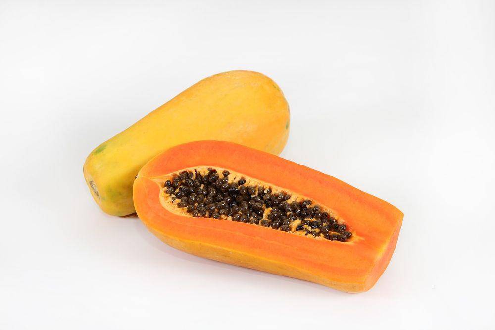 ilustrasi buah pepaya (pixabay.com/varintorn)
