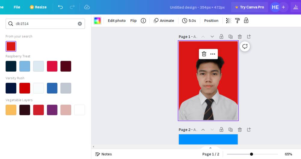 contoh penggunaan canva.com (dok. Canva)