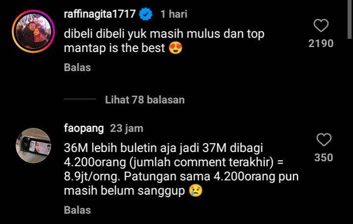 Raffi Ahmad jual pesawat jet (instagram.com/raffinagita1717)