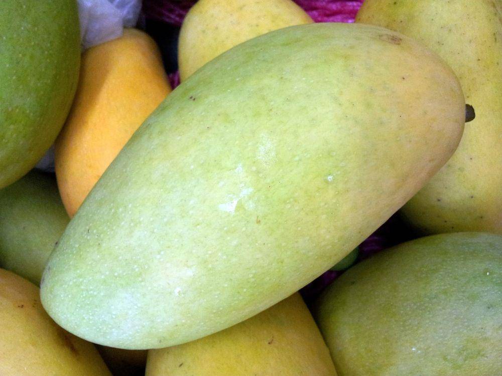 ilustrasi buah mangga (pixabay.com/PublicDomainPictures)