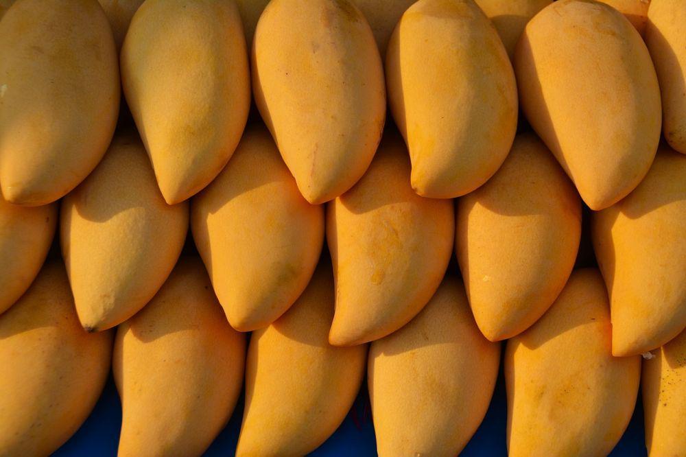 ilustrasi buah mangga segar dan matang (pixabay.com/terimakasih0)