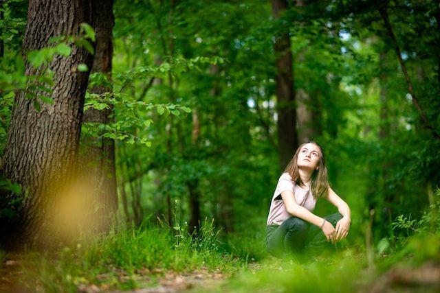Shinrin-Yoku: Terapi Stres 'Mandi Hutan' dari Jepang