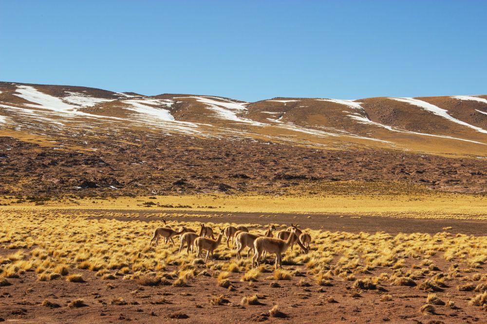 Daftar Tempat Liburan Keren 2024 Versi National Geographic