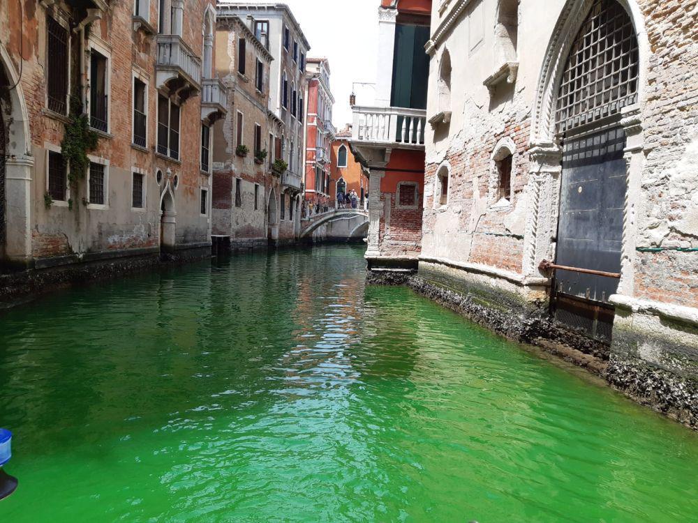 Otoritas Venesia Selidiki Perubahan Air Kanal Menjadi Hijau