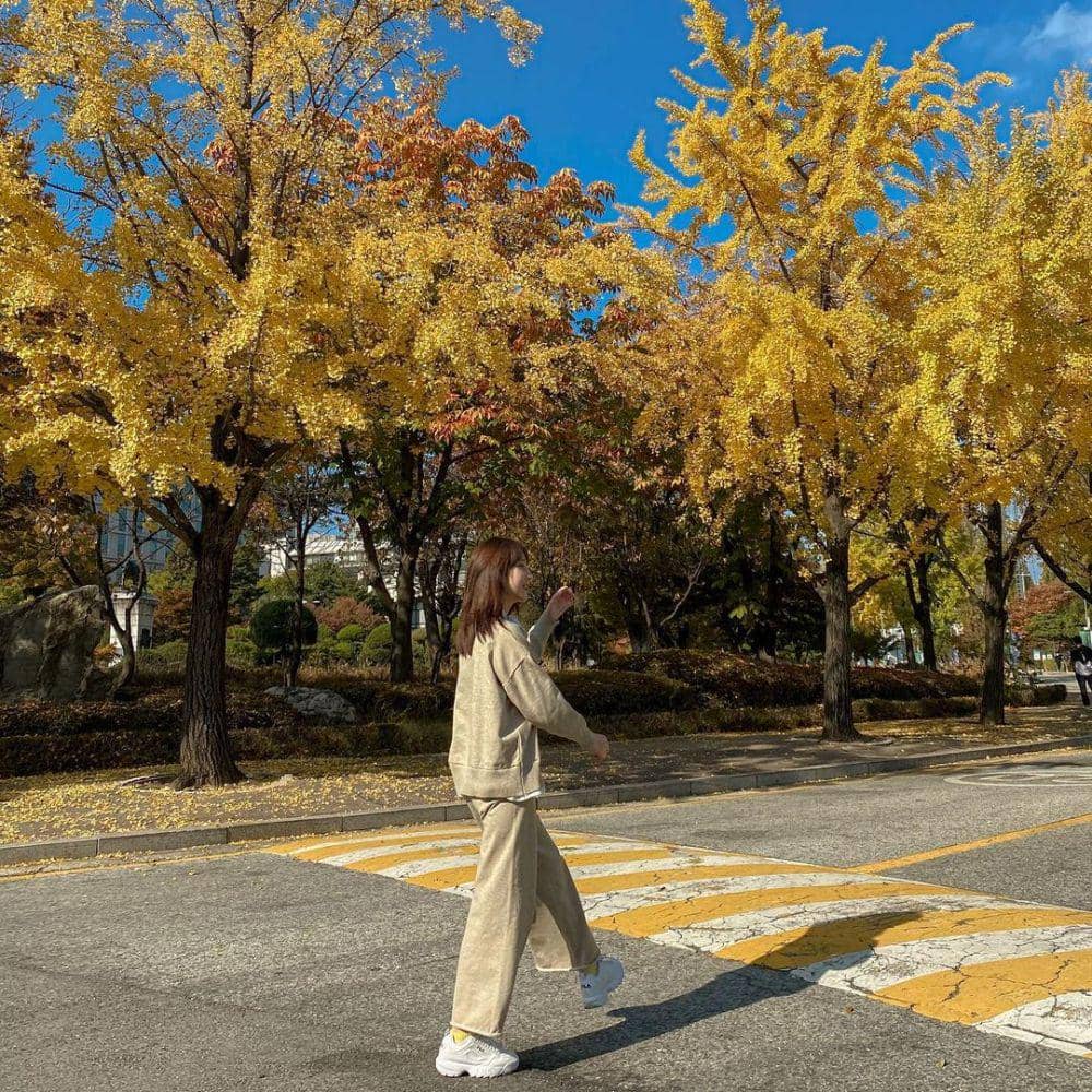 Jan Ployshompoo (instagram.com/janhae)