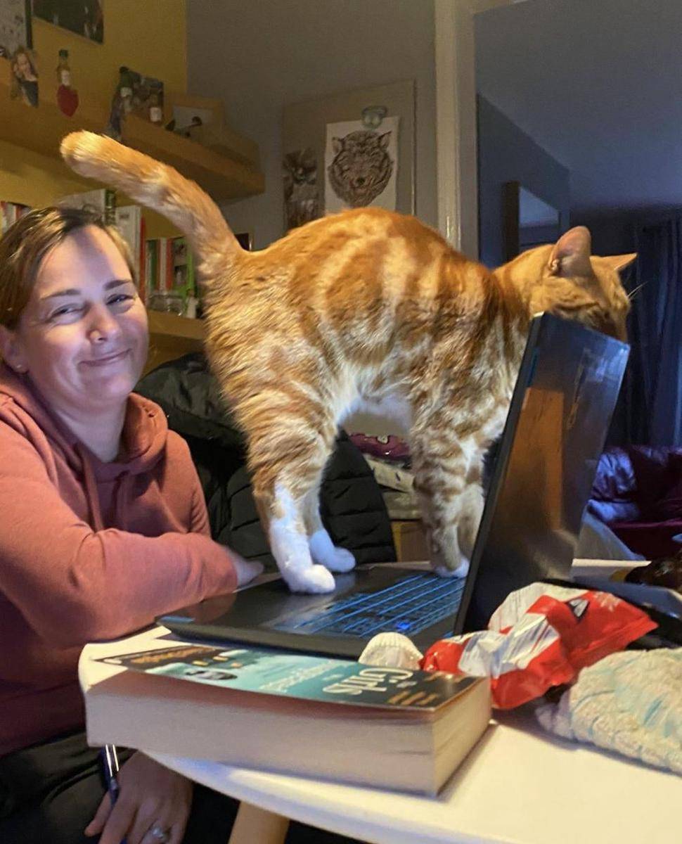 potret kucing injak laptop (reddit.com/user/TemporaryReal2045)