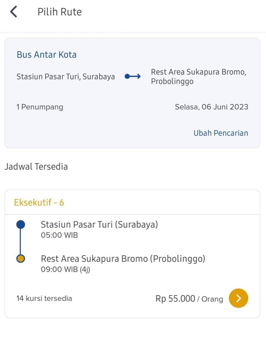 Pemesanan tiket DAMRI melalui aplikasi (dok. DAMRI Apps)