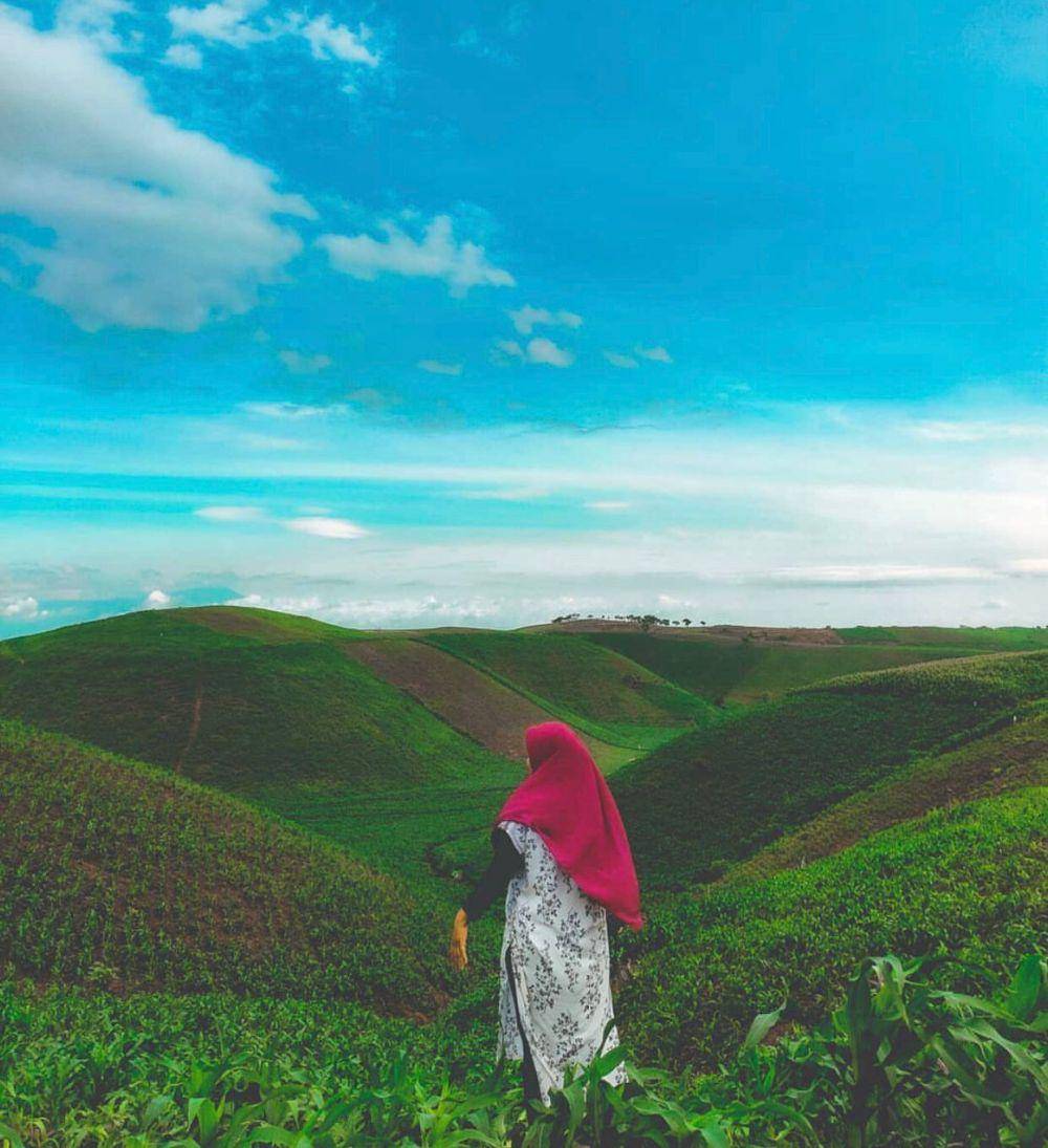 Kebun Teh di Lombok (dok pribadi/Halimatus)