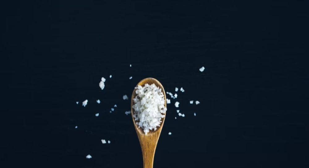 Potret sea salt 