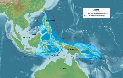 ilustrasi peta Coral Triangle (commons.wikimedia/ Obsidian Soul)