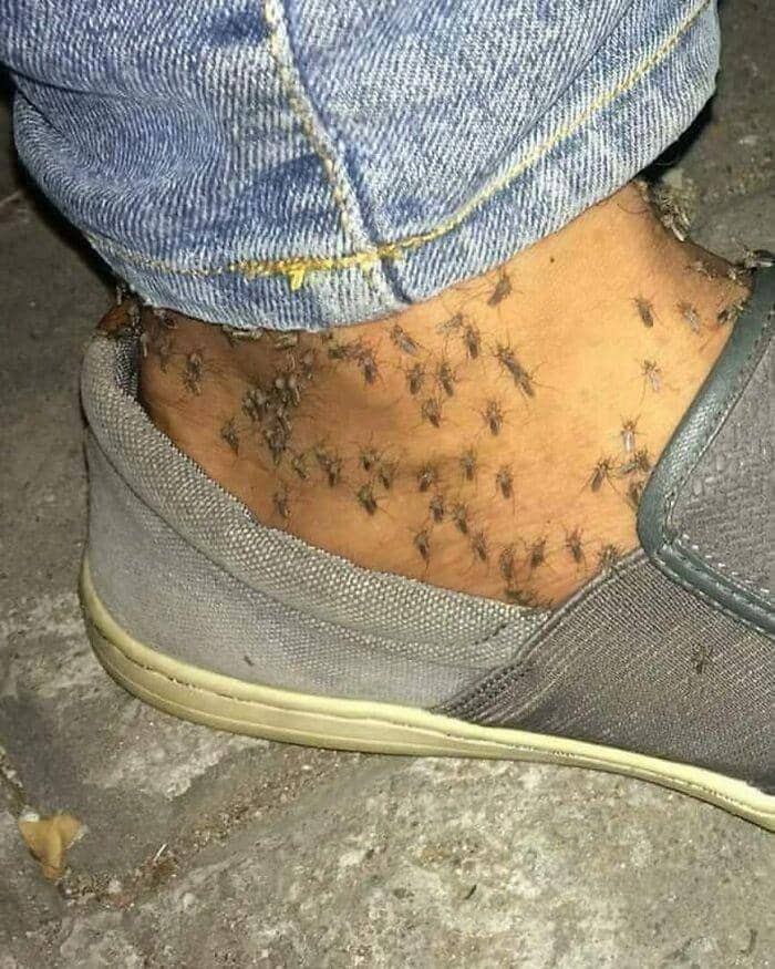 potret hewan yang tampak "terkuruk" (instagram.com/cursed_images)