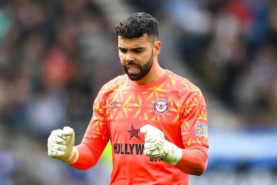 David Raya (premierleague.com)
