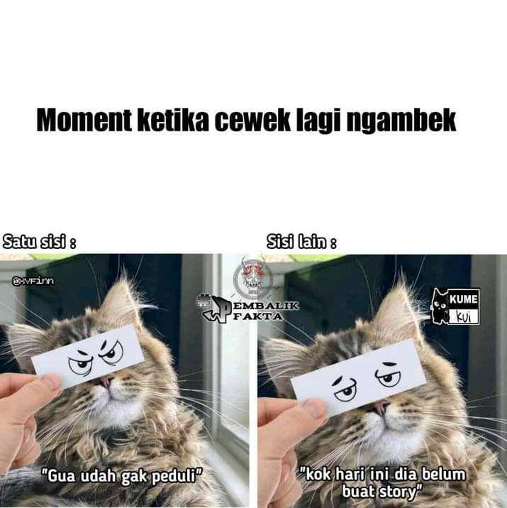 meme cewek ngambek (facebook.com/Pembalik Fakta)