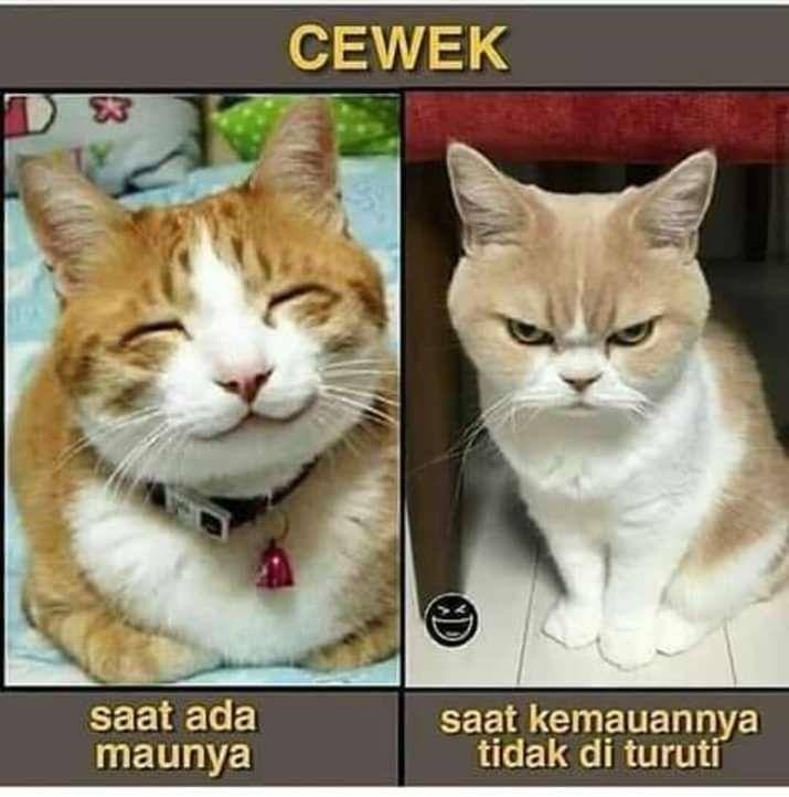 meme cewek ngambek (facebook.com/Nengsi Sukabumi)