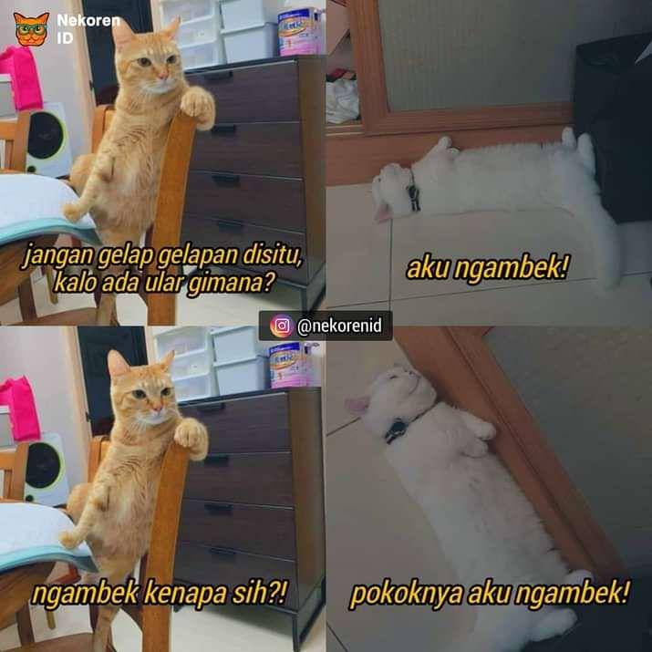 meme cewek ngambek (facebook.com/negara.kucing.oren)