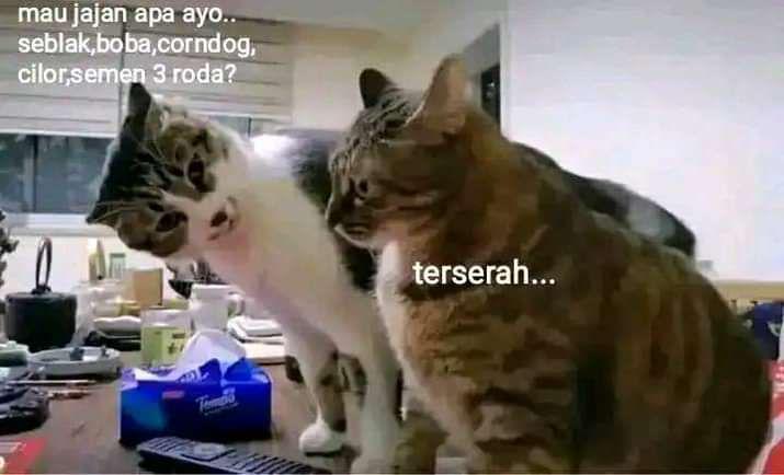9 Meme Gambaran Cewek Ngambek, Bikin Pusing Tujuh Keliling!