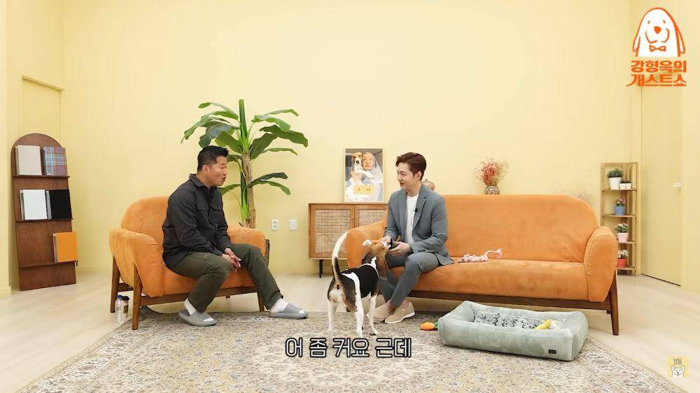 cuplikan Changsub BTOB dan Guri di Kang Hyung-wook's Dog Guest Show EP.11 (youtube.com/강형욱의 보듬TV)