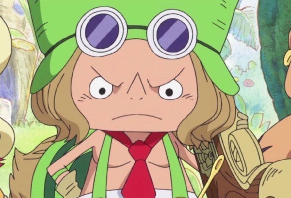 (Dok. Toei Animation/One Piece)