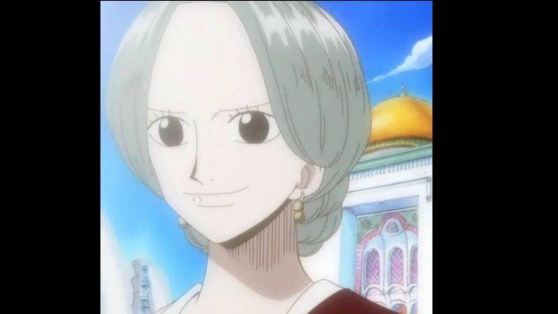 Nefertari Titi di One Piece. (Dok. Toei Animation/One Piece)