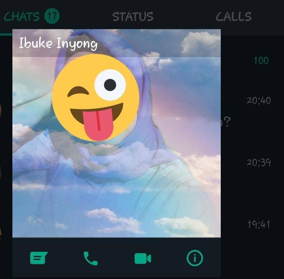 foto profil WA emak kocak (twitter.com/raa_zzz)