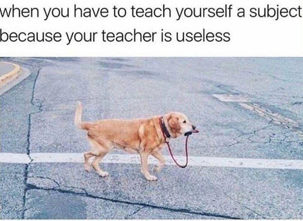 meme kehidupan kuliah (facebook.com/Humor State University)