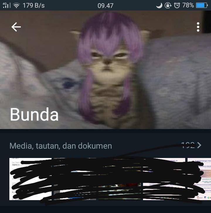 foto profil WA emak kocak (twitter.com/raa_zzz)