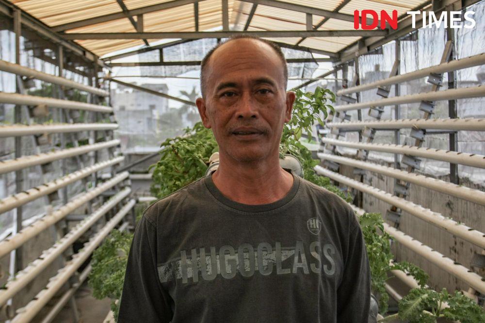 Jatuh Bangun Suardi Raden, Merintis Sukses Lewat Hidroponik