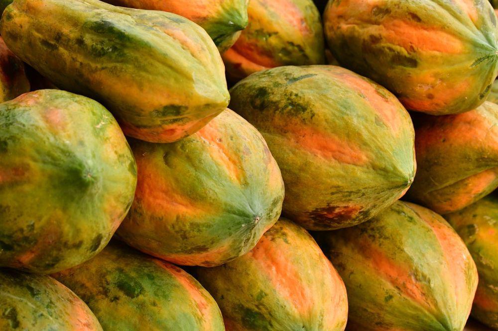 ilustrasi buah pepaya segar dan matang (pixabay.com/pisauikan)