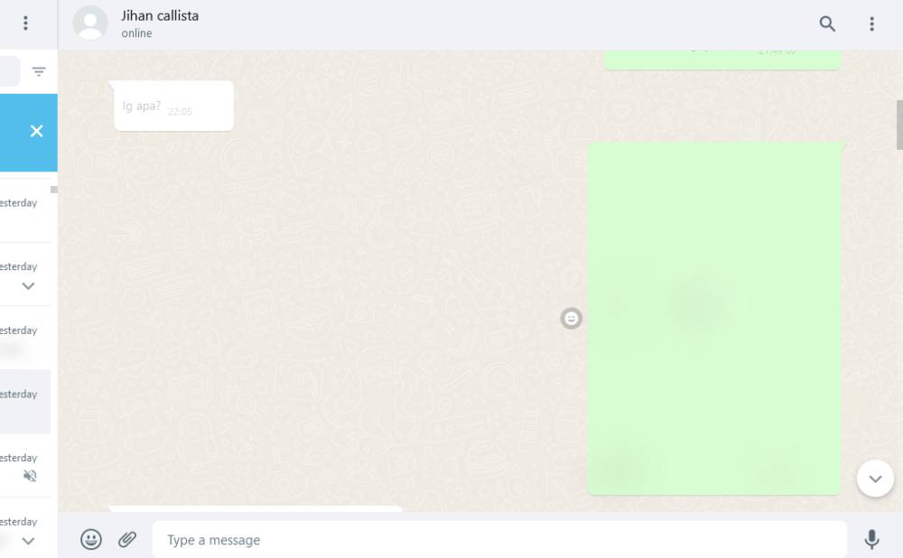 Ilustrasi WhatsApp Web Blur (dok.Putri Meliana A)