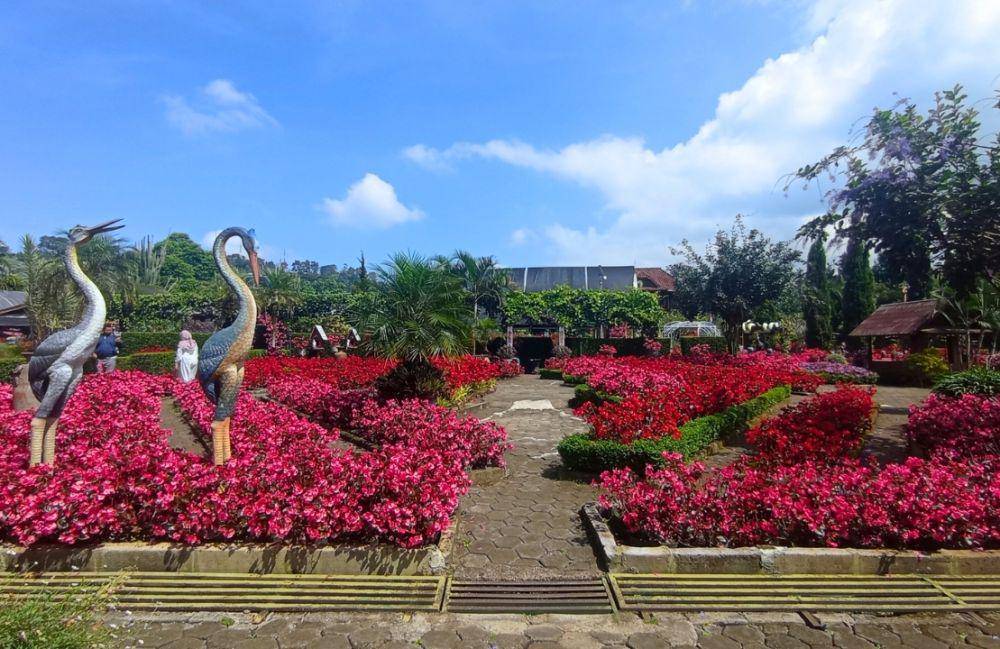 Taman Begonia Lembang (dok. pribadi/Sri Maria)