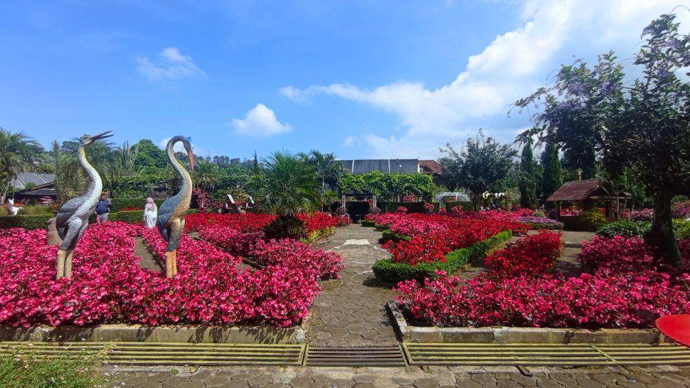 Taman Begonia Lembang (dok. pribadi/Sri Maria)