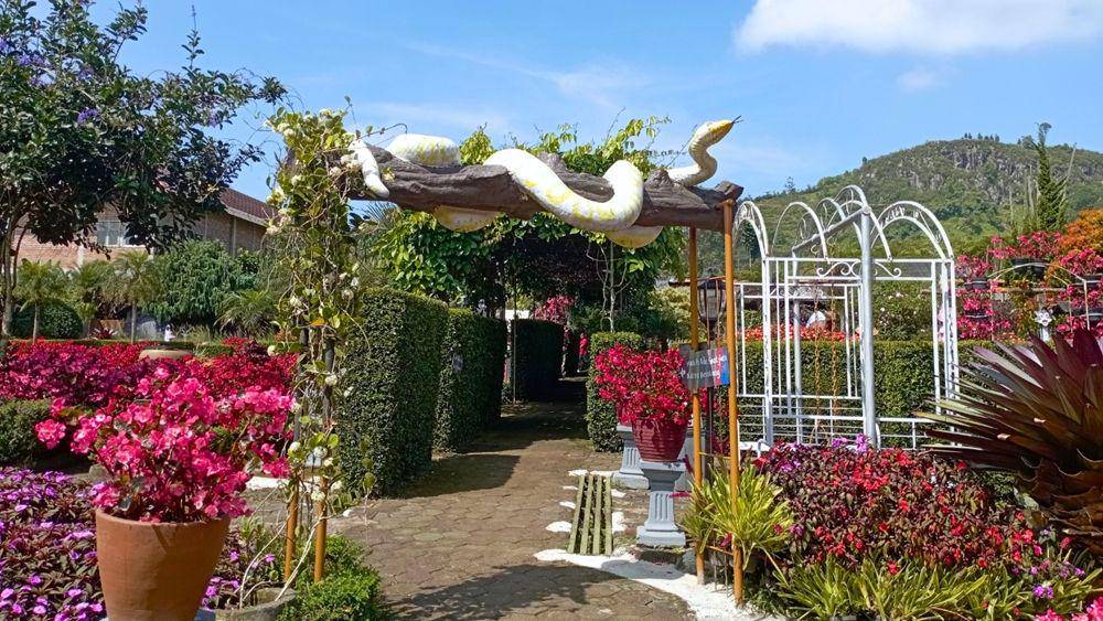 Taman Begonia Lembang (dok. pribadi/Sri Maria)