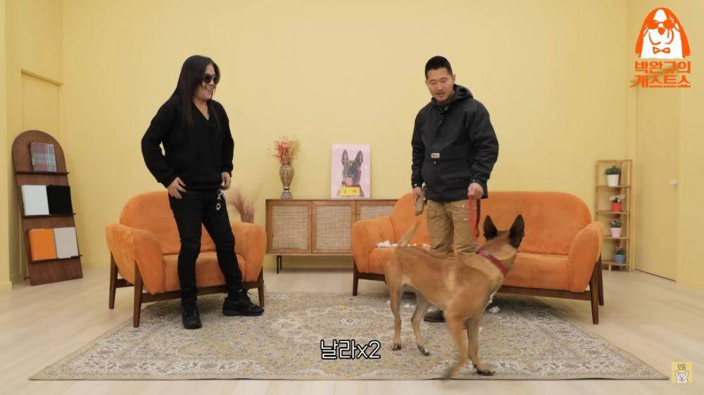 cuplikan Kang Hyung Wook dan Nala di Kang Hyung-wook's Dog Guest Show EP.6 (youtube.com/강형욱의 보듬TV)