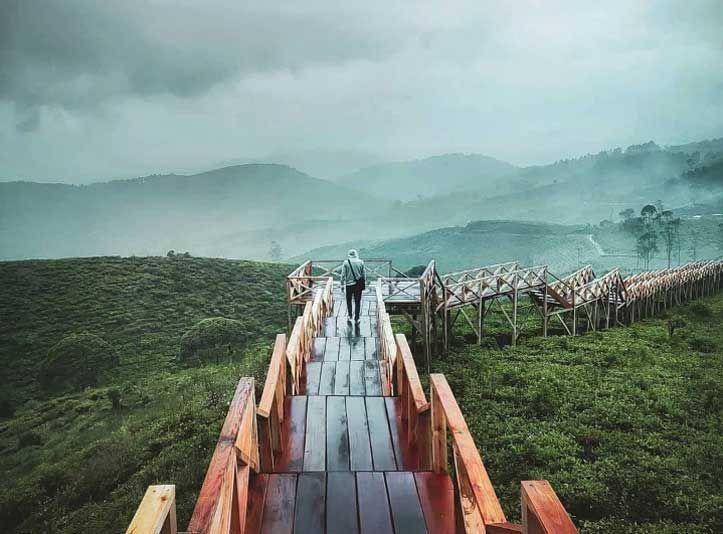 ©2023 Taman Langit Pangalengan/instagram.com/_kopitest_man