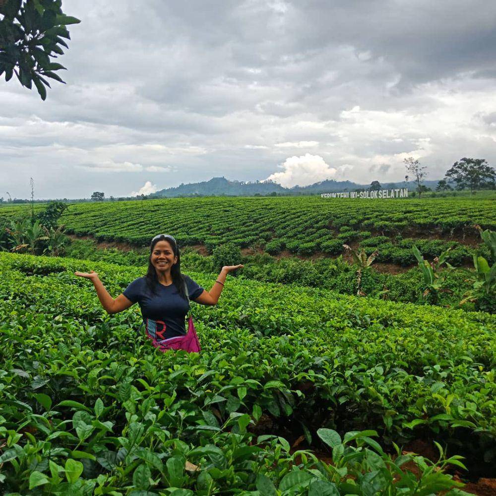 Kebun Teh Liki (instagram.com/nurul.naim_nns)