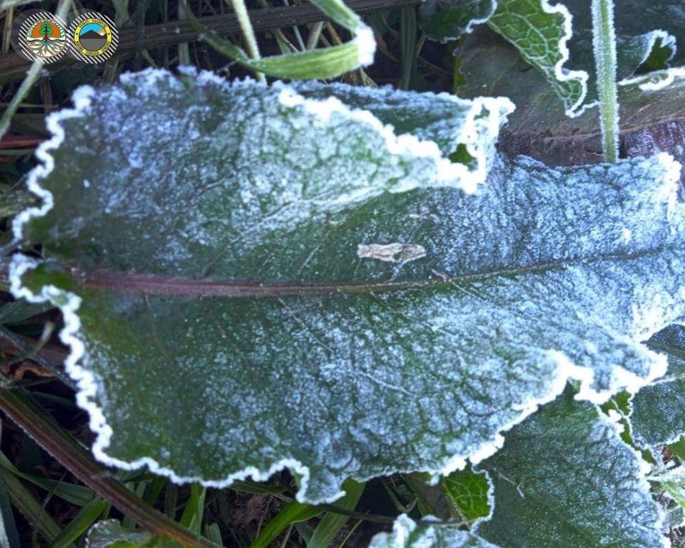 Fenomena frozen di Gunung Bromo. DOk. TNBTS