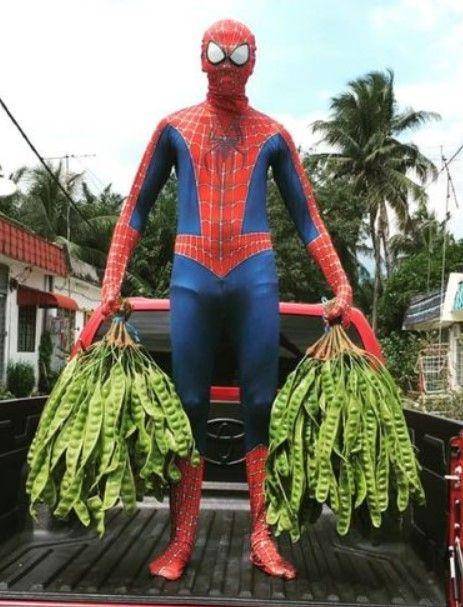 penjual pakai kostum Spider-Man (instagram.com/spiderman_petai)