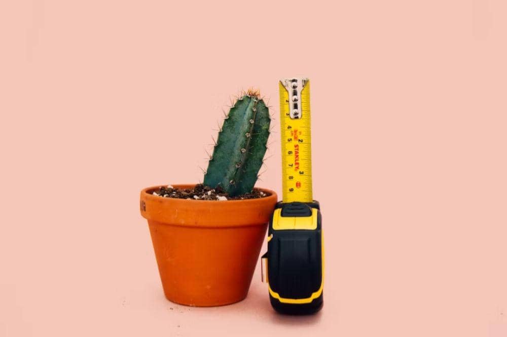 Ilustrasi mengukur home decor(unsplash.com/@charlesdeluvio)