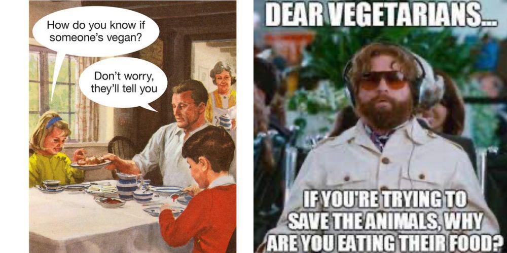 7 Meme Orang Vegan yang Penuh Perjuangan, Kuras Emosi!