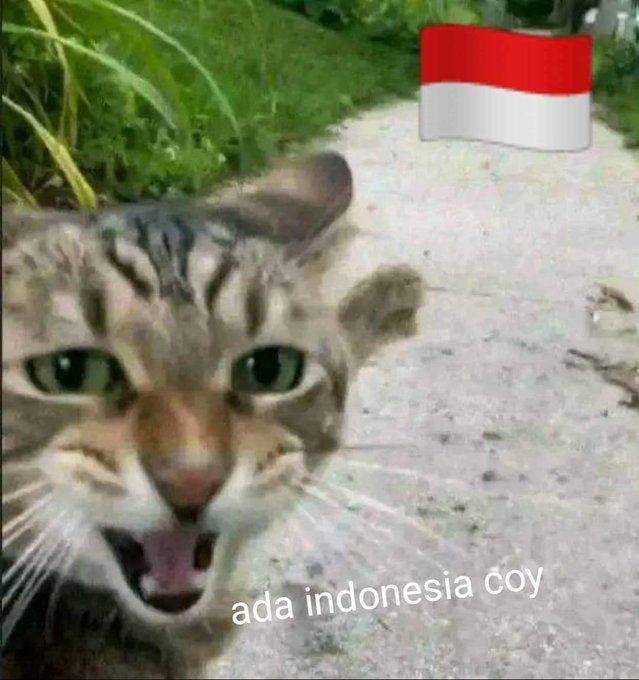 meme ada Indonesia coy (twitter.com/farrel_154)